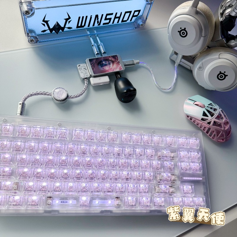 WINSHOP Esports HUB Dual-In 4- - đánh giá và giá Desk Setup Aesthetic